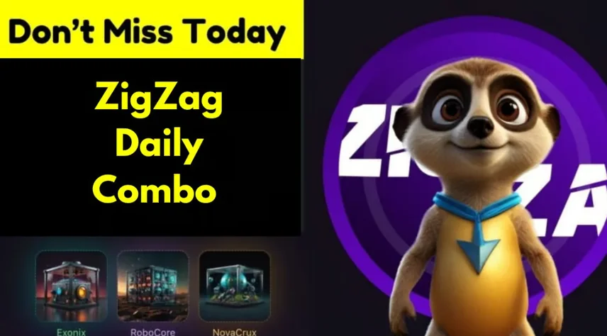 ZigZag Daily Combo 28 September