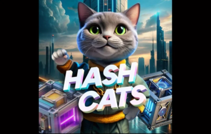 HashCats Daily Combo & Cipher Staking 14 September 2024