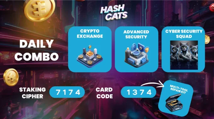 HashCats Daily Combo & Cipher Staking 14 September 2024